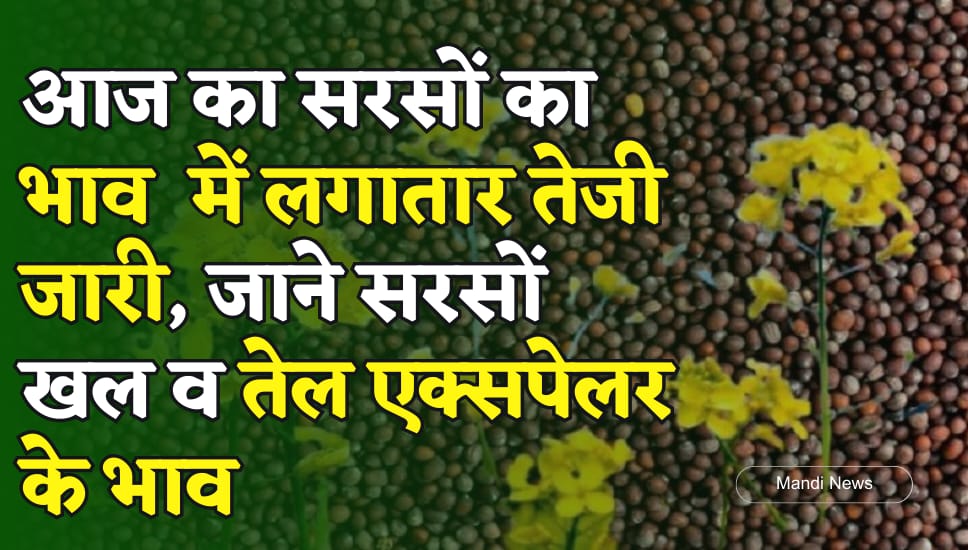 सरसों का भाव